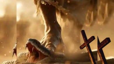 MUSIC Mp3 | Bigger Than Everything By MJ - Peculiar Grace